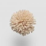 FdS Band 0 New Zealand Wool (W): W212 Nude