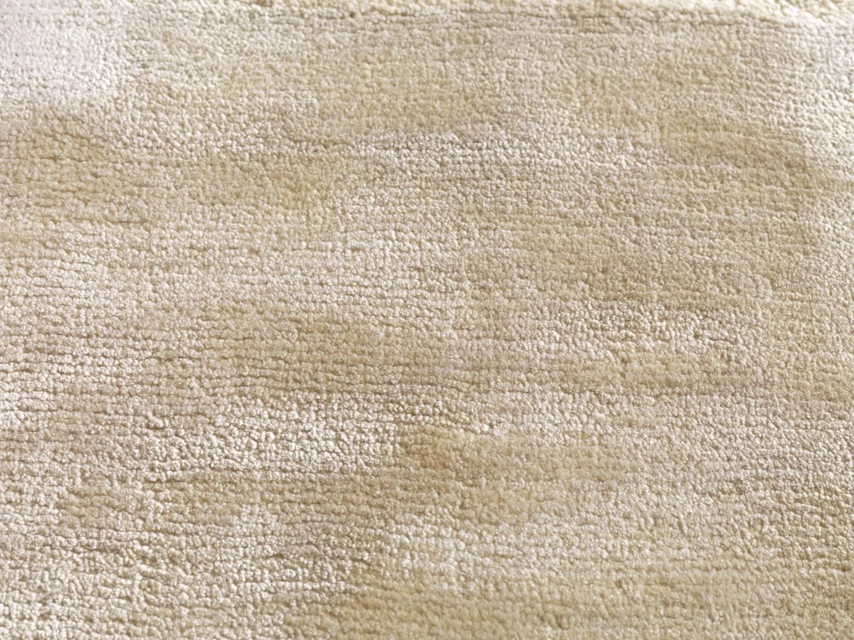 Simla ct 400 500: Wheat