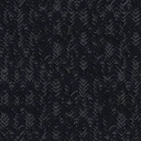 0711 Black Mamba