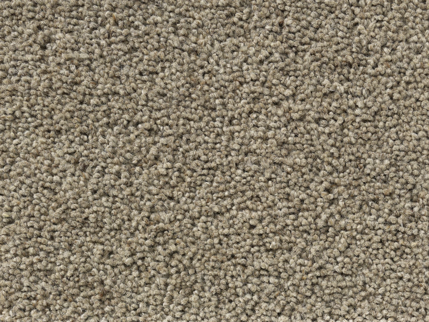 Sincere ab 400: Oak