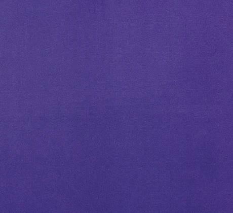 Las Vegas cut ab 400: 4717 Purple