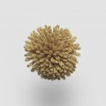 FdS Band 0 New Zealand Wool (W): W529 Deep Gold