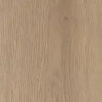 Honey 77103