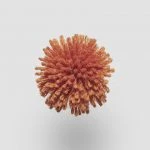 FdS Band 0 New Zealand Wool (W): W684 Dark Orange