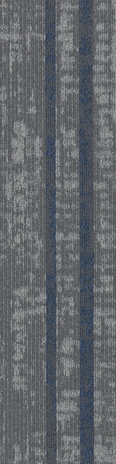 Assembly Convene tw sd 25x100 cm: Clear Network  67538