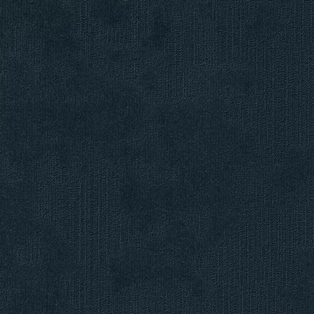 Velvet& sd b2b 50x50 cm: 573