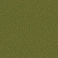 1612 Grashopper