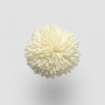 FdS Band 0 New Zealand Wool (W): W753 Tender Yellow