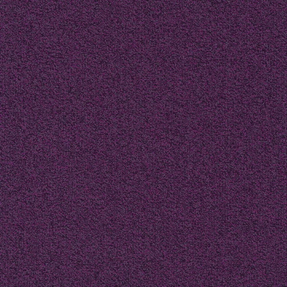 Millennium Nxtgen sd b2b 50x50 cm: 411