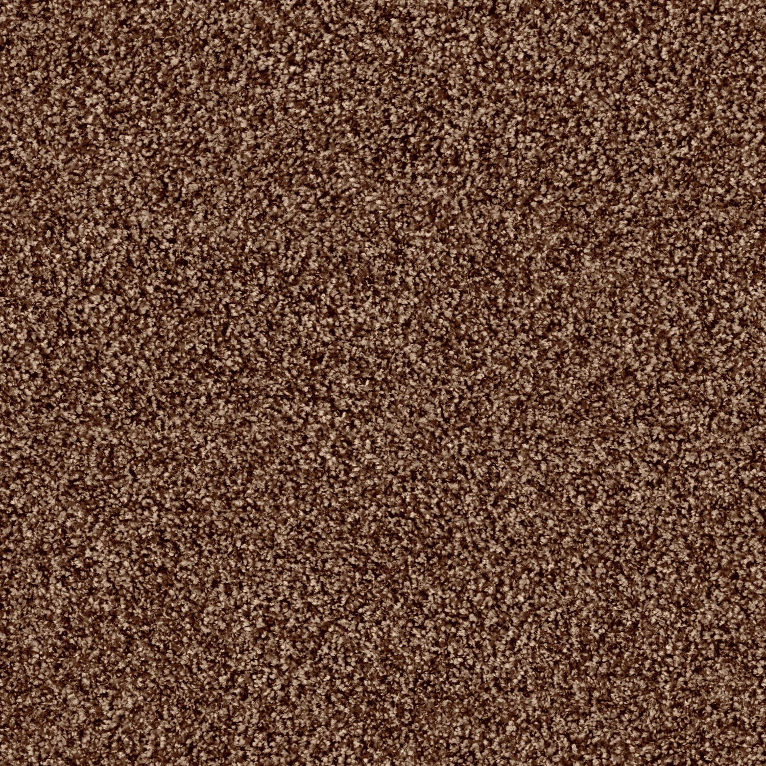 Glory 1500 cab 400: 1507 Teddy