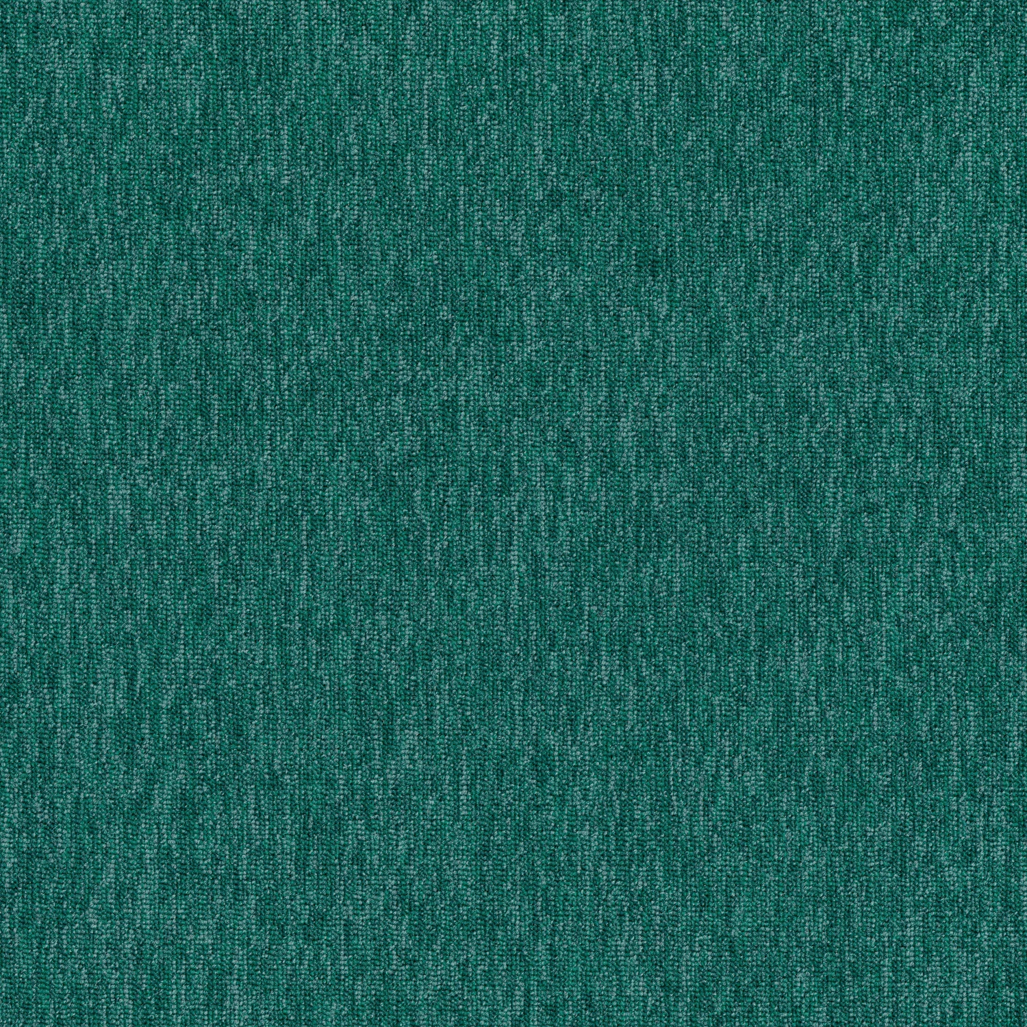 Auxiliary Complement tw sd 50x50 cm: Seaweed 83335