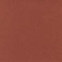 4206 Red Ochre