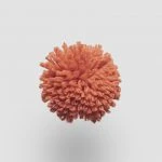 FdS Band 0 New Zealand Wool (W): W678 Orange