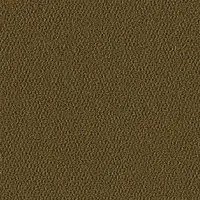 1004 Safari