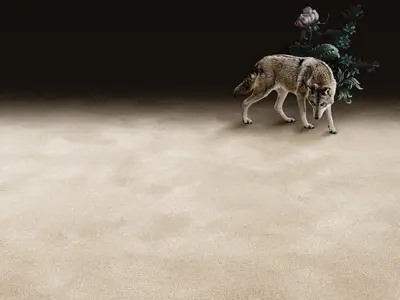 Vlněný koberec Pure Wool ve třech barevných provedeních