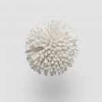 FdS Band 0 New Zealand Wool (W): W217 Snow White