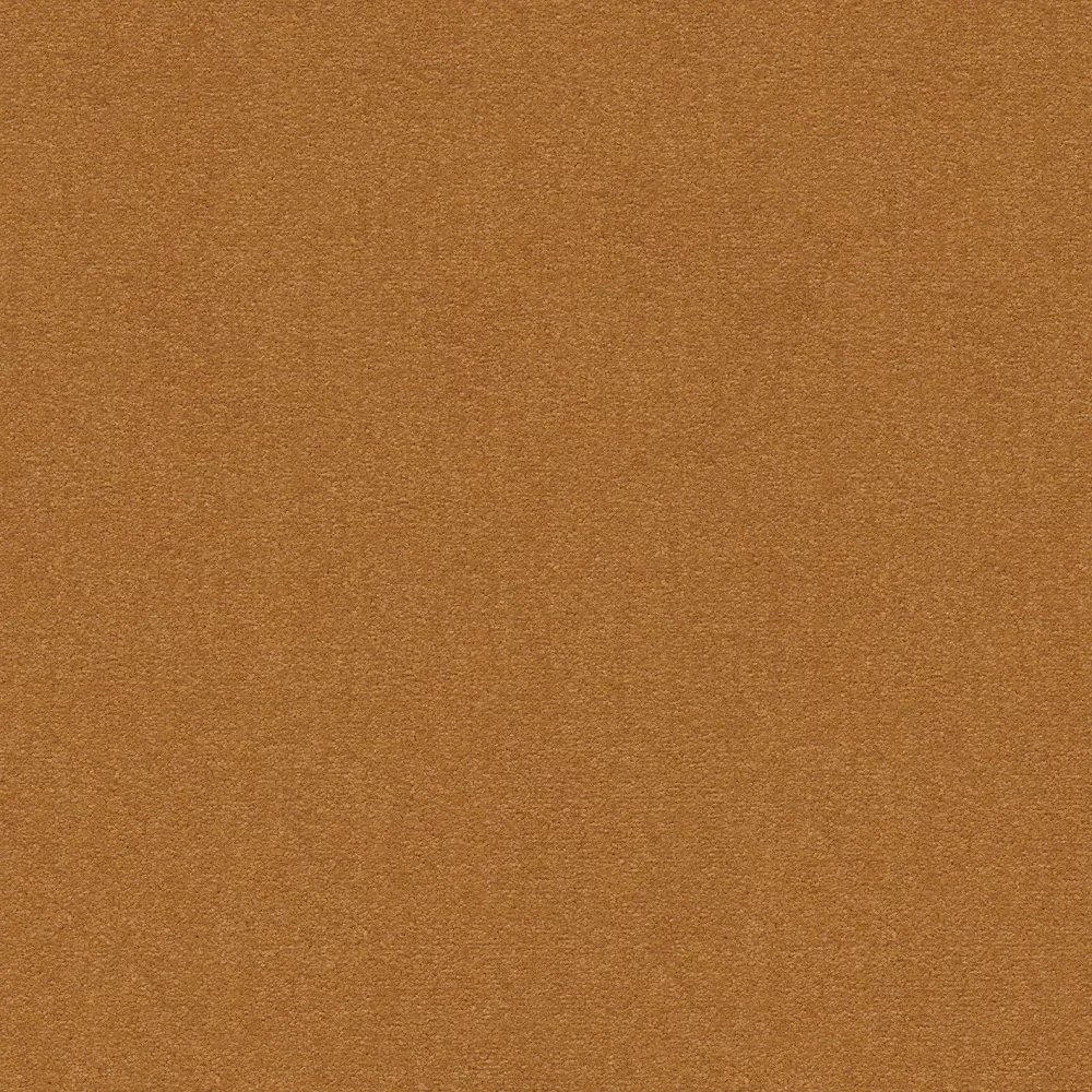 Cambridge& b2b 50x50 cm: 213