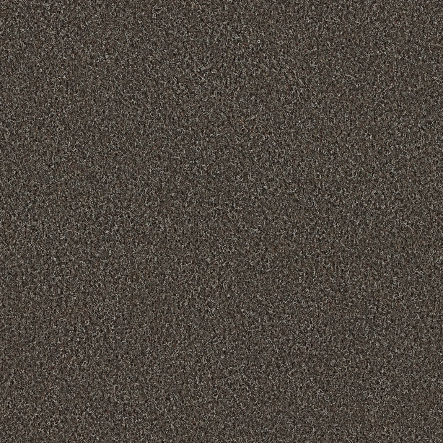 Scor 550 bt Acoustic Plus 50x50 cm: 569 Dark Brown