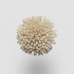 FdS Band 0 New Zealand Wool (W): W213 Fog Beige