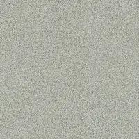 6603 Seagull