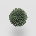 FdS Band 0 New Zealand Wool (W): W564 Forest Green
