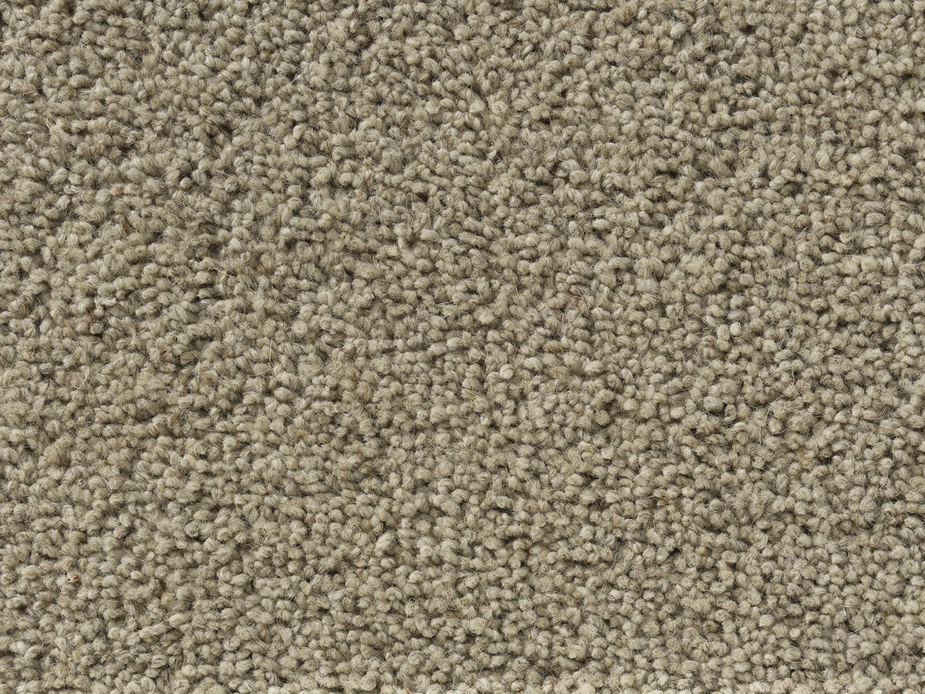 Sincere ab 400: Mushroom