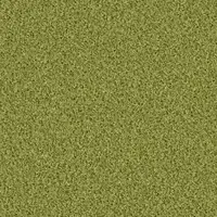 1401 Pesto