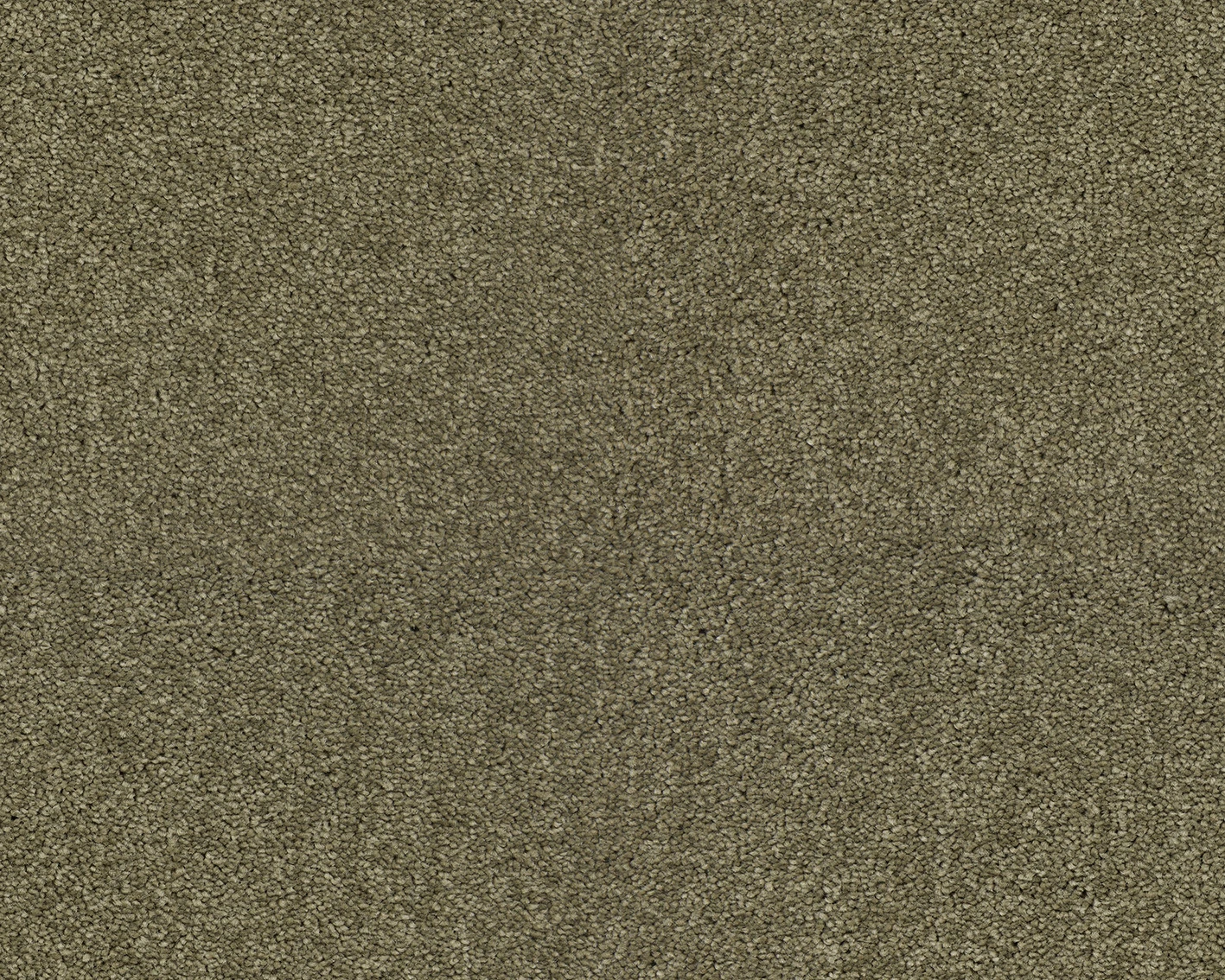 Lounge 32 sb 400 500: ZEO.0484 Barley 4