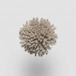 FdS Band 0 New Zealand Wool (W): W204 Taupe Grey