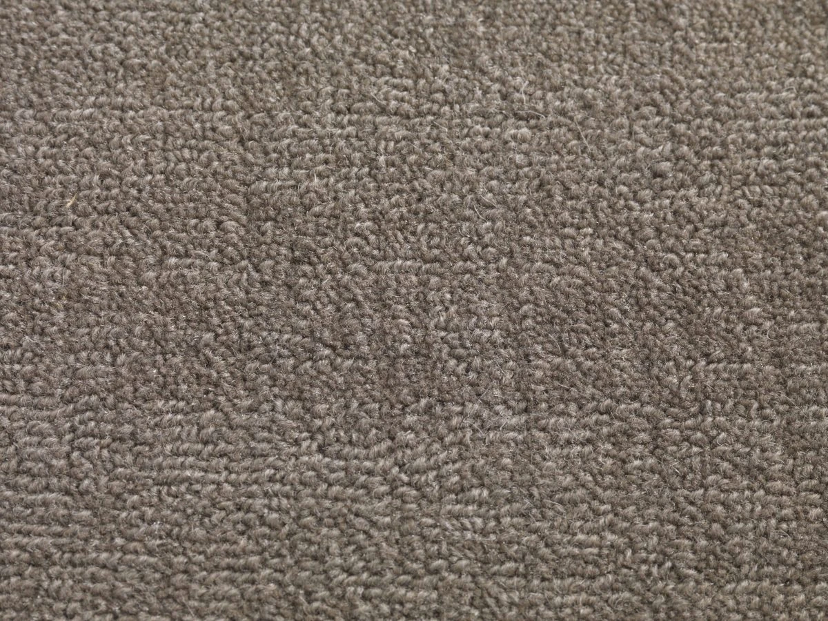 Willingdon ct 400 500: Sepia