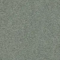 T371330 Limestone