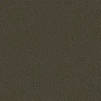 0407 Muskat