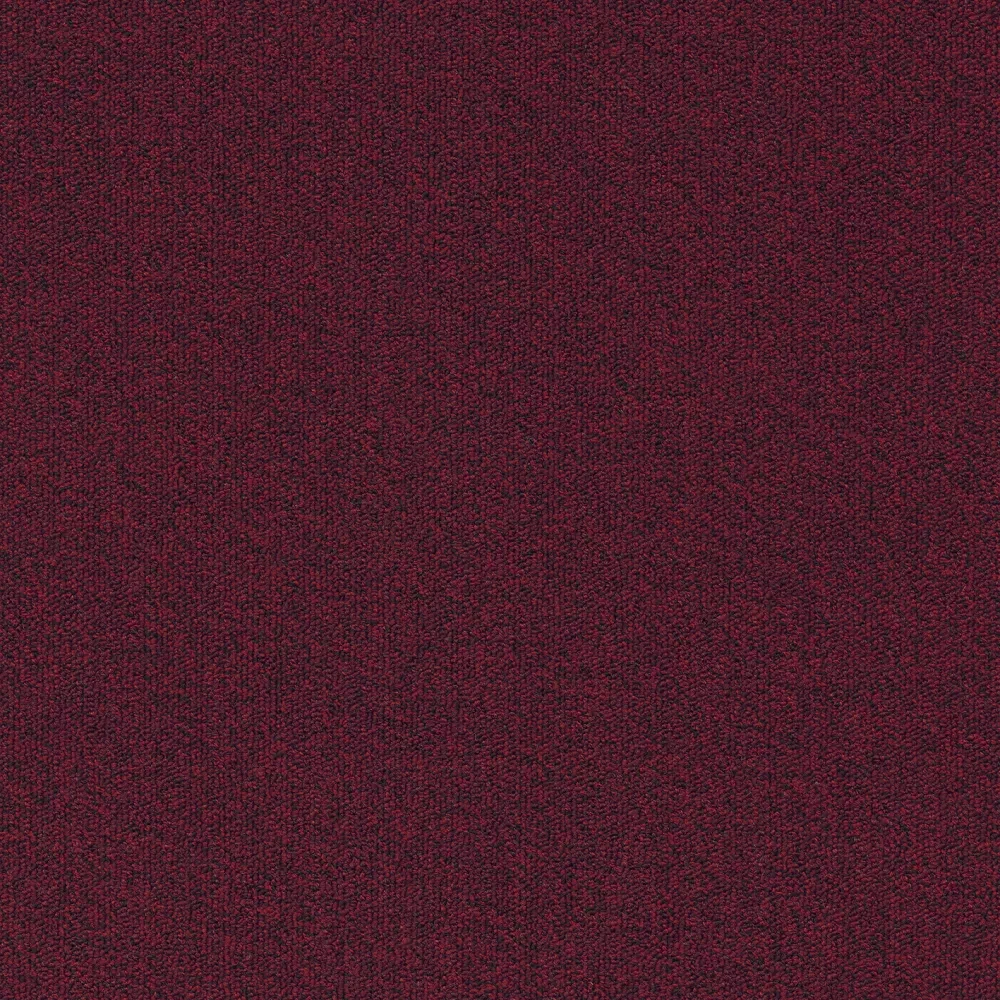 Millennium Nxtgen sd b2b 50x50 cm: 310