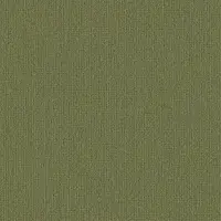 0934 Oliv