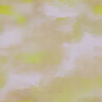 Kimi 1801