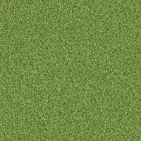 1422 Grashopper