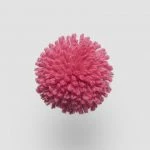 FdS Band 0 New Zealand Wool (W): W226 Virtual Rose