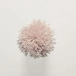 FdS Band 0 Botanical Silk (T): T113 Light Peach