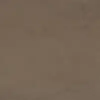 Brown 79