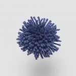 FdS Band 0 New Zealand Wool (W): W613 Navy Blue