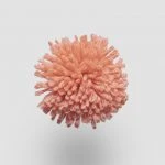 FdS Band 0 New Zealand Wool (W): W201 Coral Pink