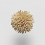 FdS Band 0 New Zealand Wool (W): W514 Honey Mustard