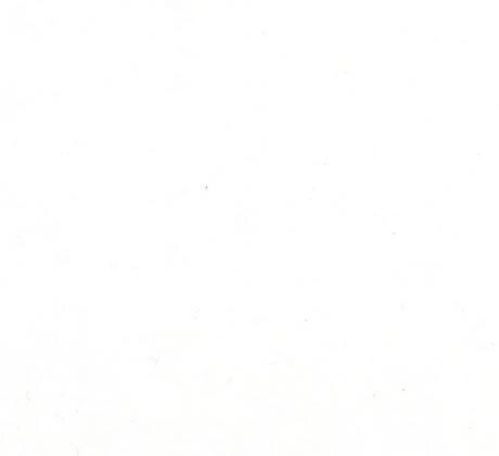 Salsa dilour gl 200: 1950 Blanc