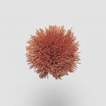 FdS Band 0 Mohair (TW): TW661 Chili