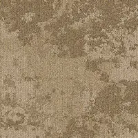 35705 Ground Cover