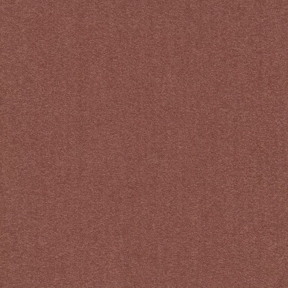 Cambridge& b2b 50x50 cm: 303