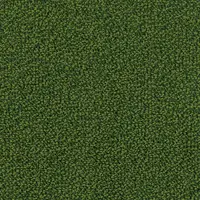 000010-404