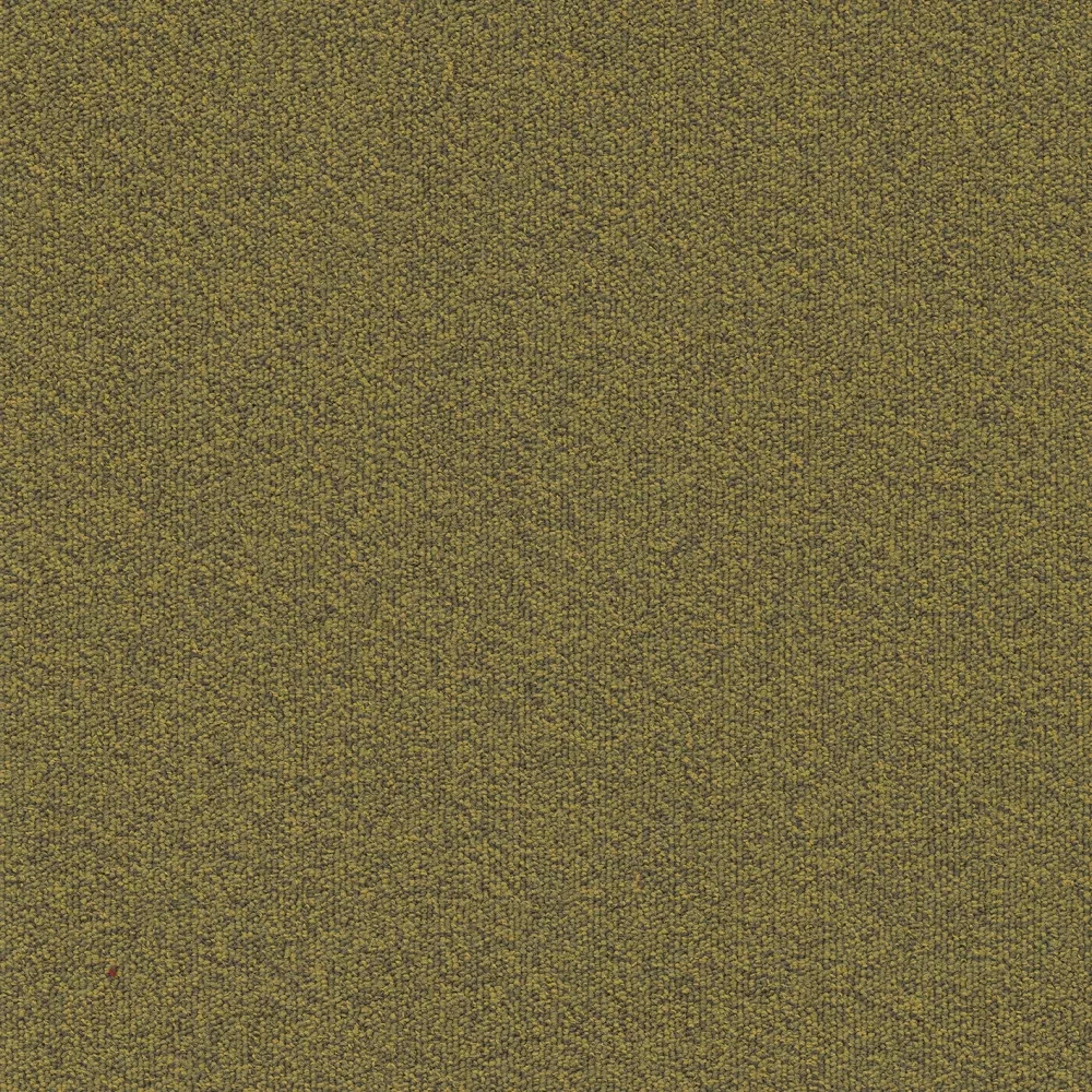 Millennium Nxtgen sd b2b 50x50 cm: 210