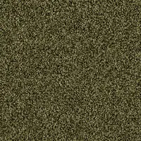1510 Thymian