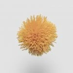 FdS Band 0 Mohair (TW): TW754 Saffron